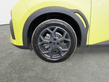 BYD Dolphin Surf
