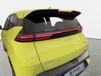 BYD Dolphin Surf
