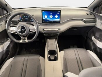 BYD Dolphin Surf