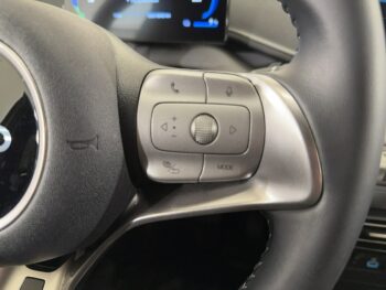 BYD Dolphin Surf