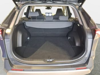Toyota RAV-4